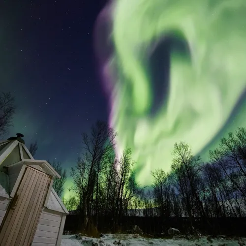 Northern Lights in Northern Norway, Lyngenfjord, by Francisco Damm