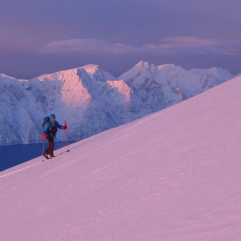 January ski touring in twilight, view of the fjord and Lyngen Alps