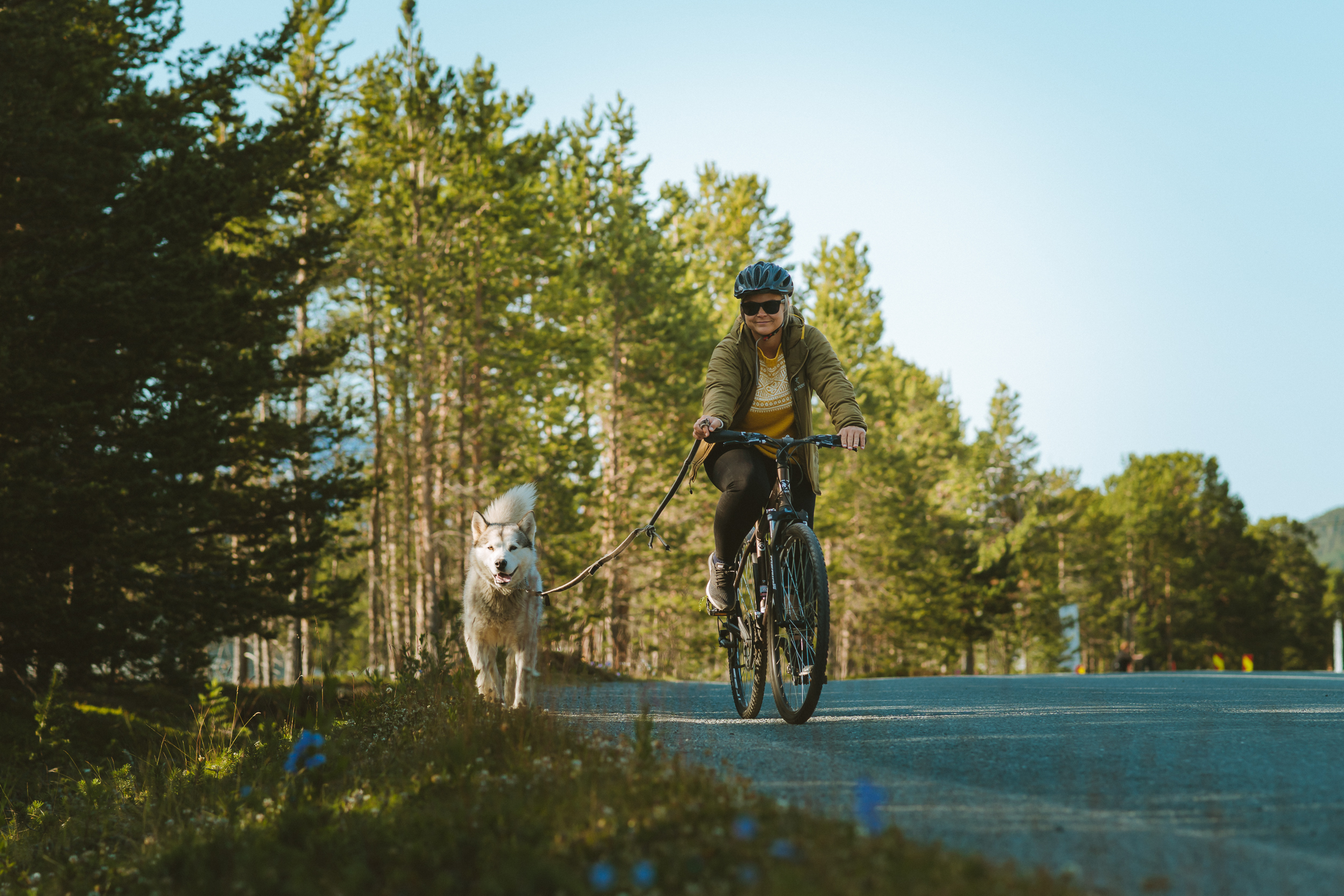 Syklist med hund i band syklende langs en vei