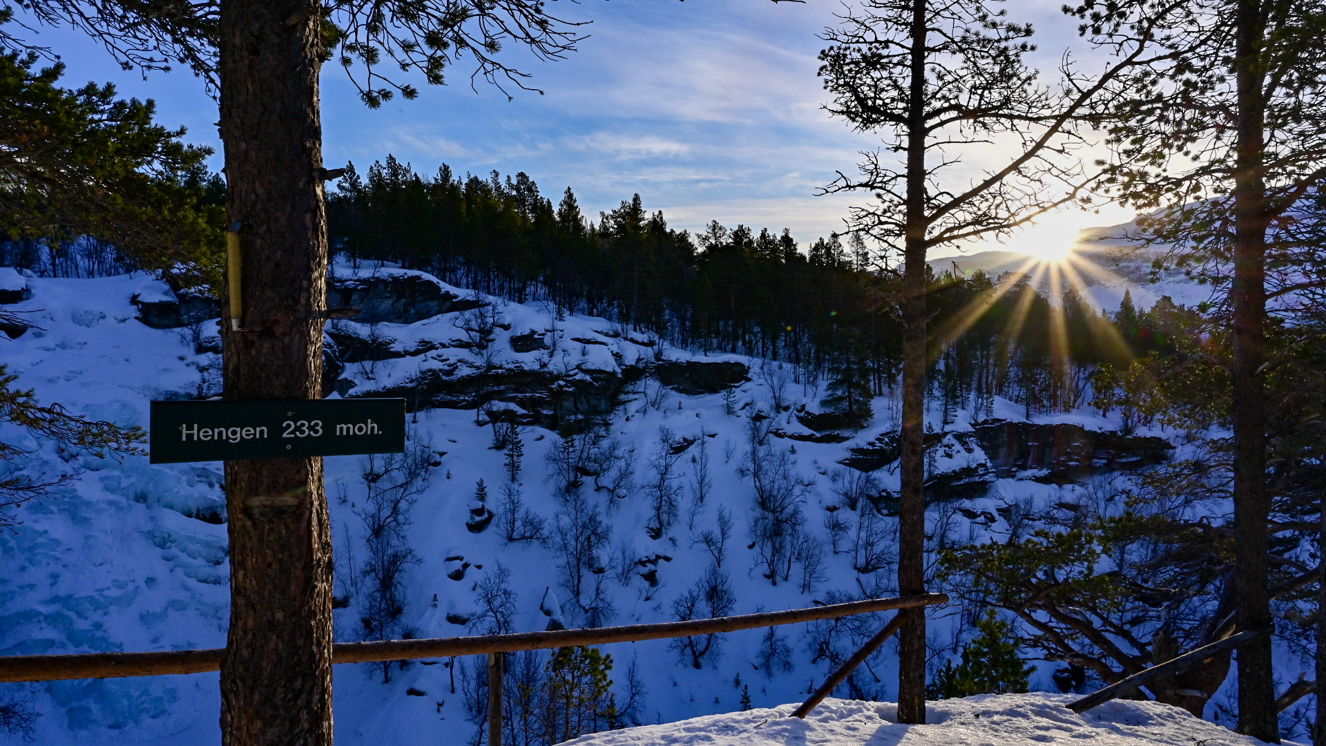 Hengen en vinterdag