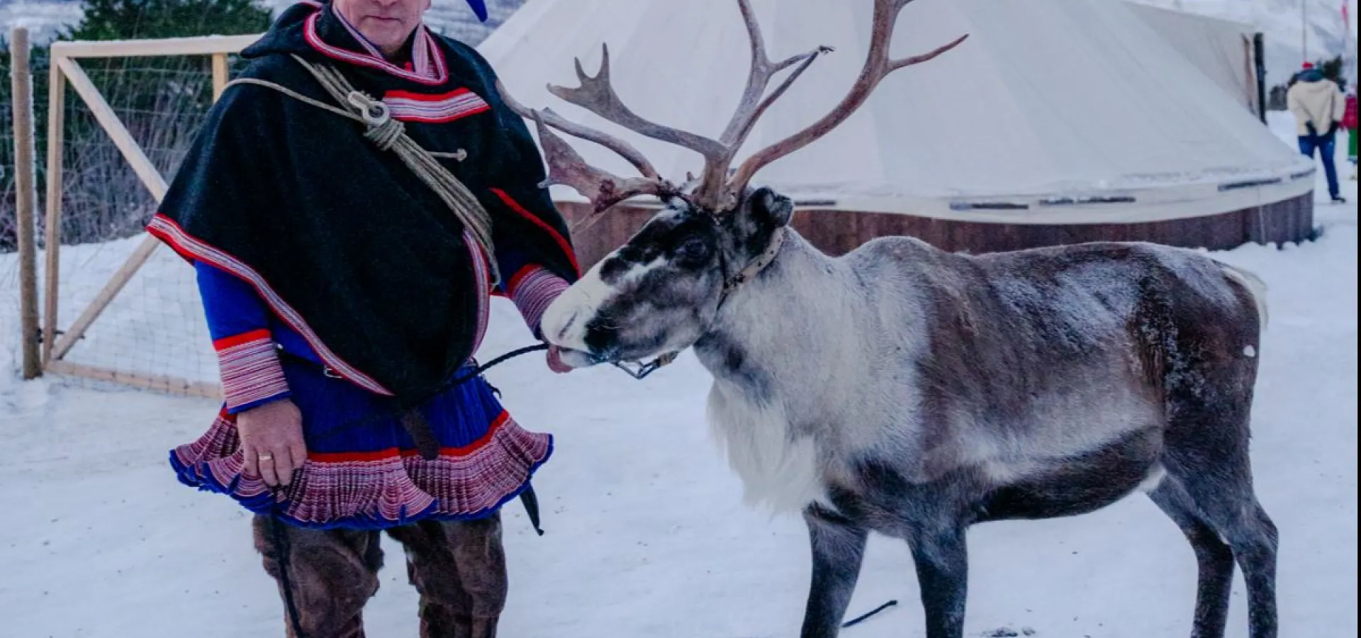 Reinsledekjøring i Skibotndalen - kveldstur med the Samiway