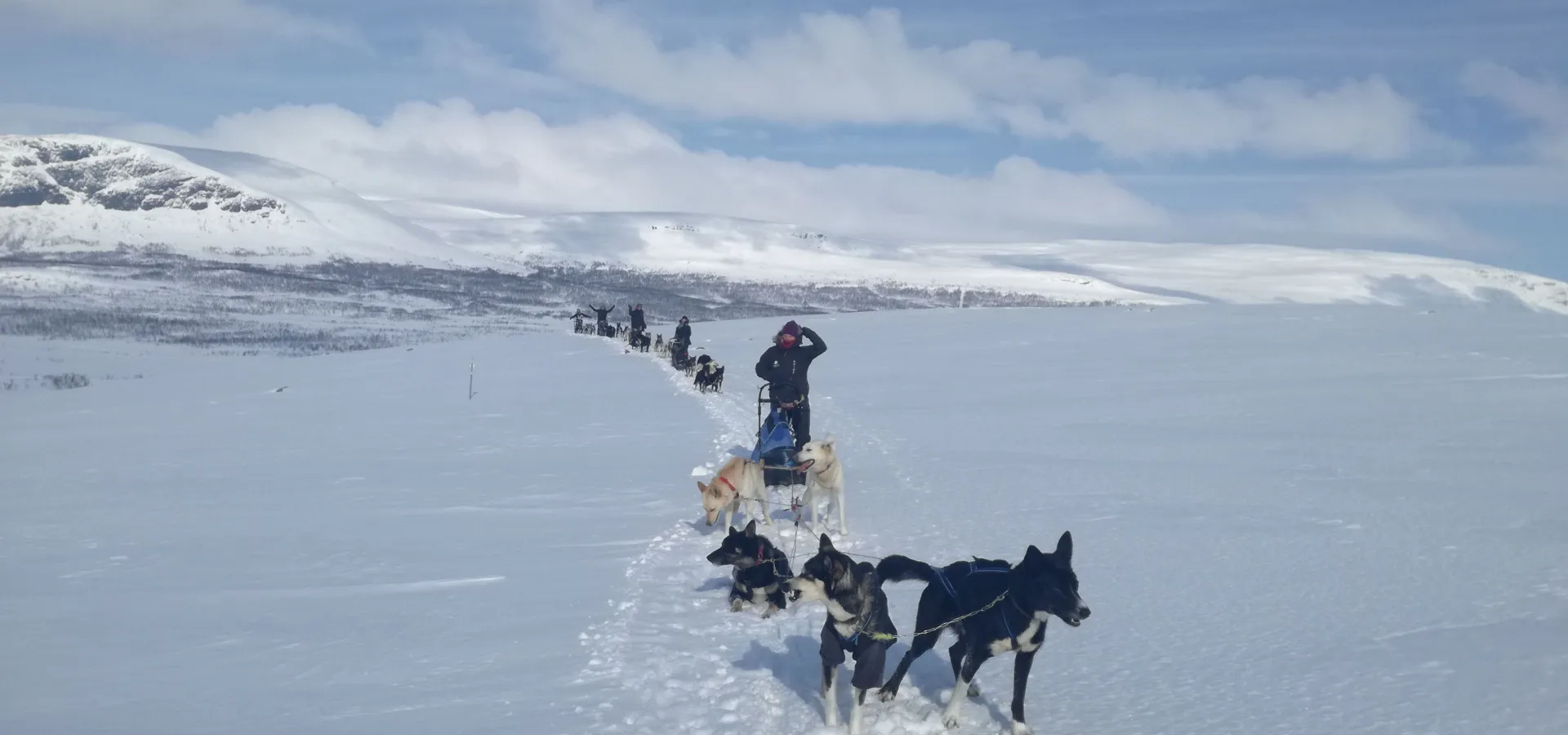 Hundesledetur i Lyngen - Dagtid - Lyngen Outdoor Experiences