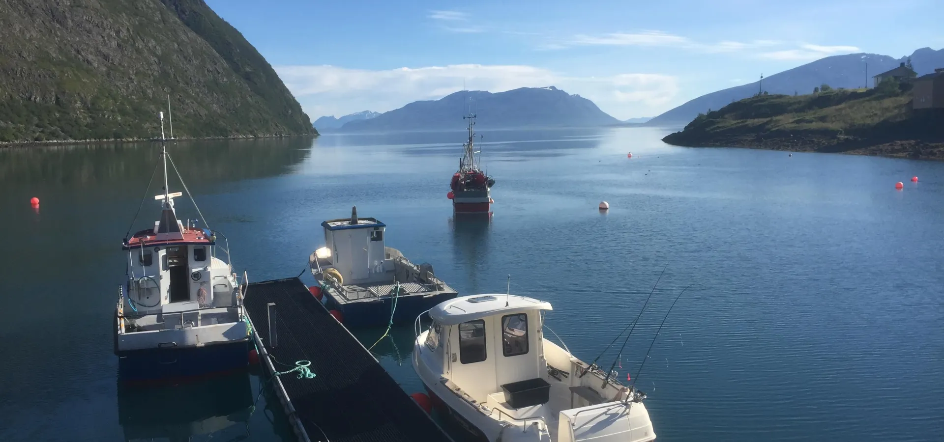 Guidet fisketur eller båtsightseeing med Koppangen Brygger