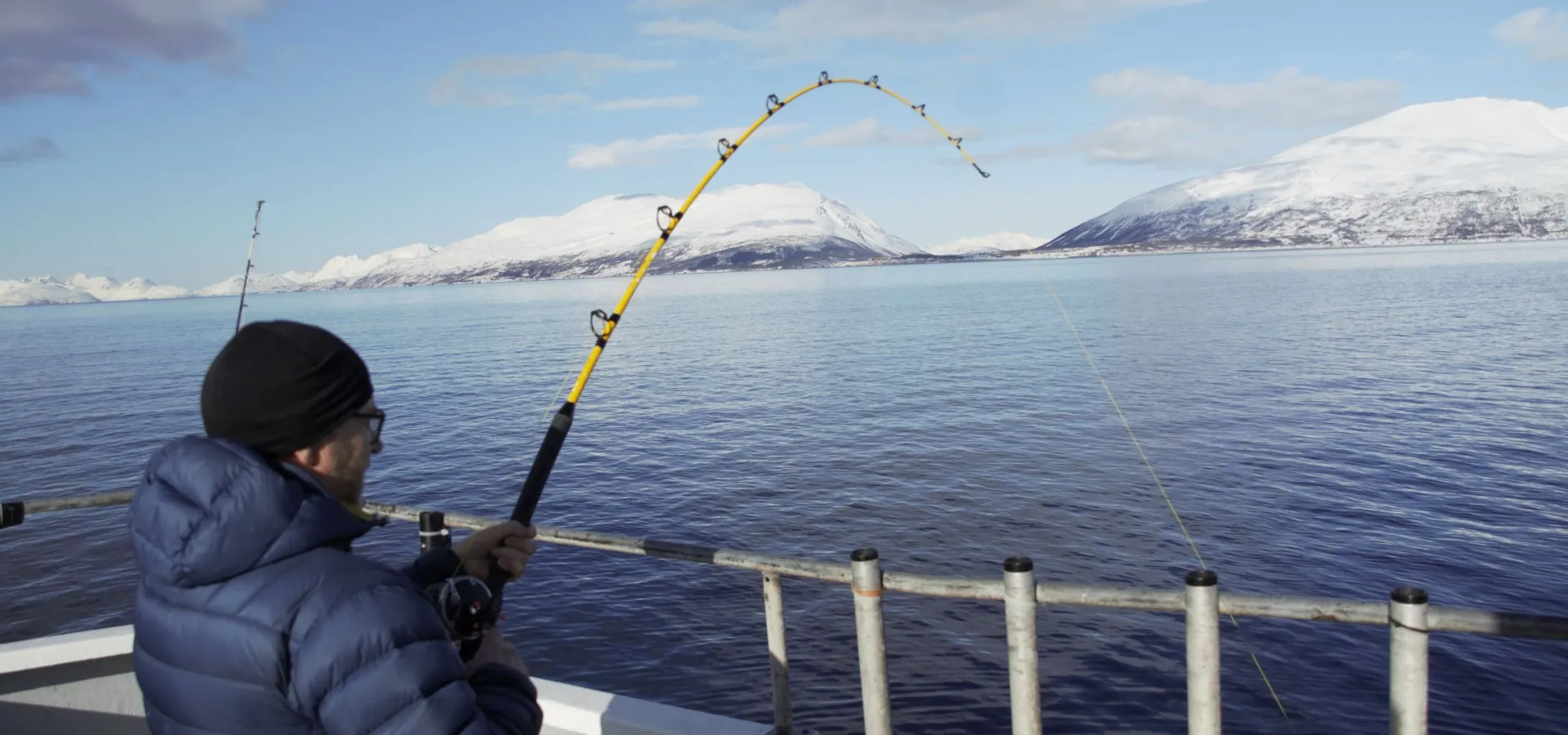 Guidet fisketur eller båtsightseeing med Koppangen Brygger