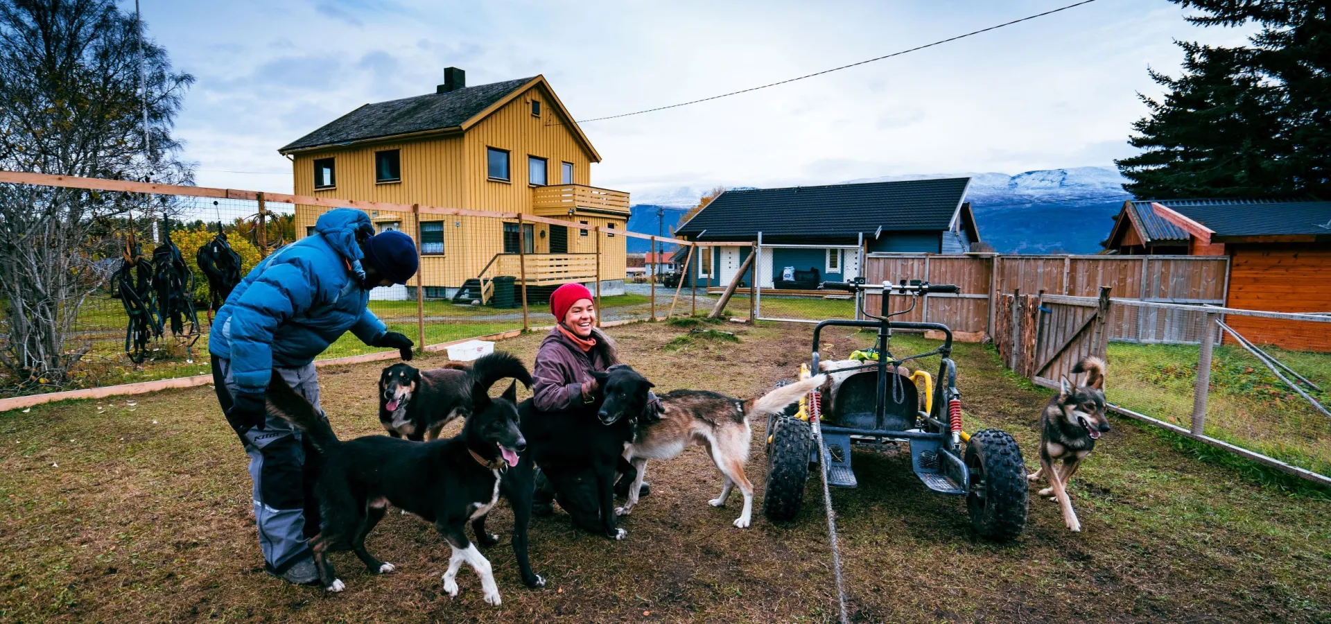 Hundesledetur på hjul - Lyngen Outdoor Experiences