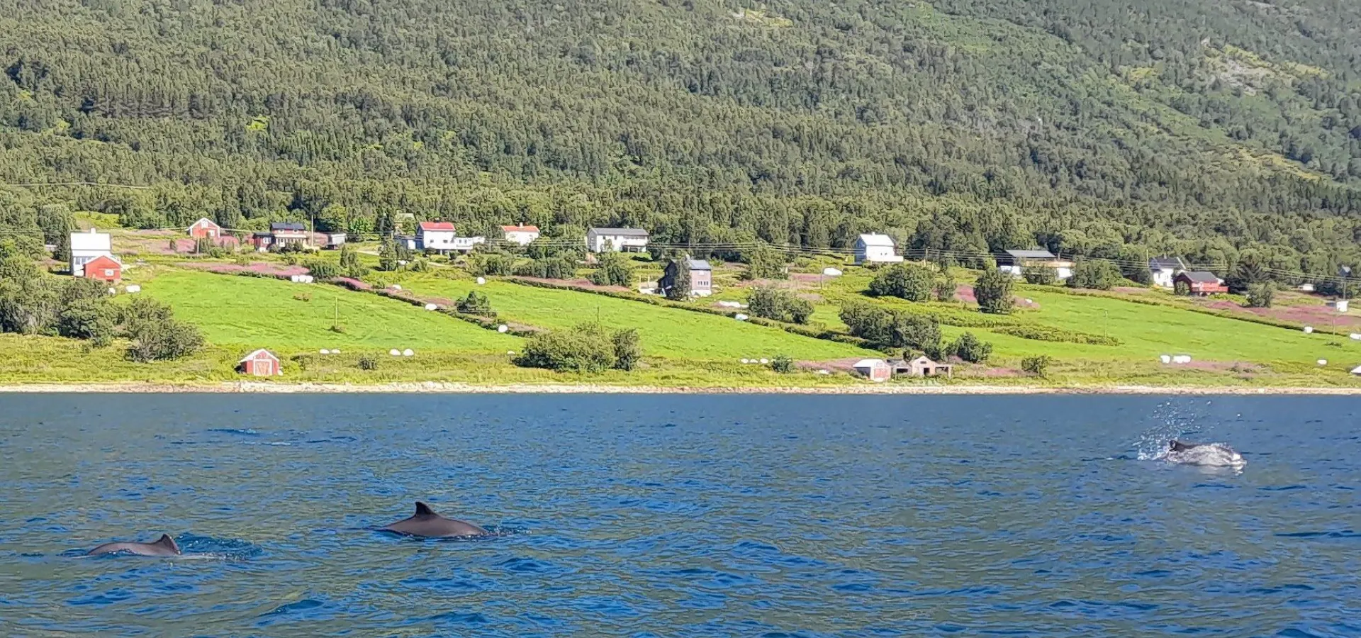 Olderdalen Ski Camp