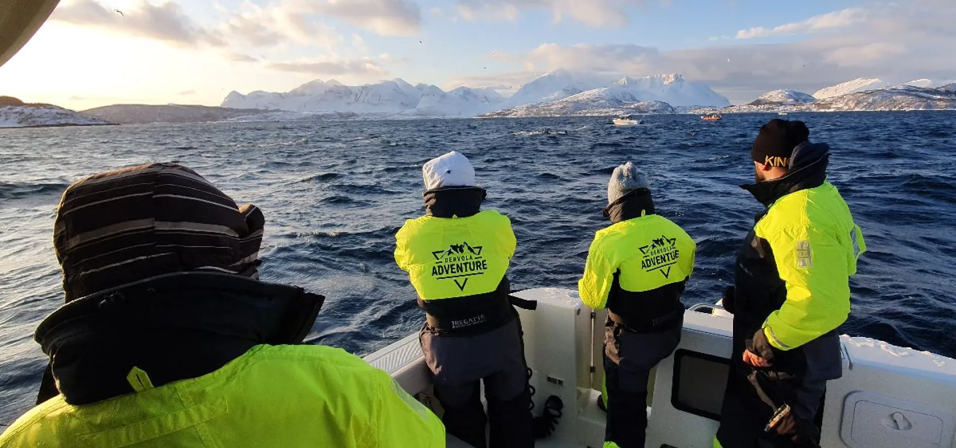 Hvalsafari i lukket båt fra Skjervøy - Dervola Adventure