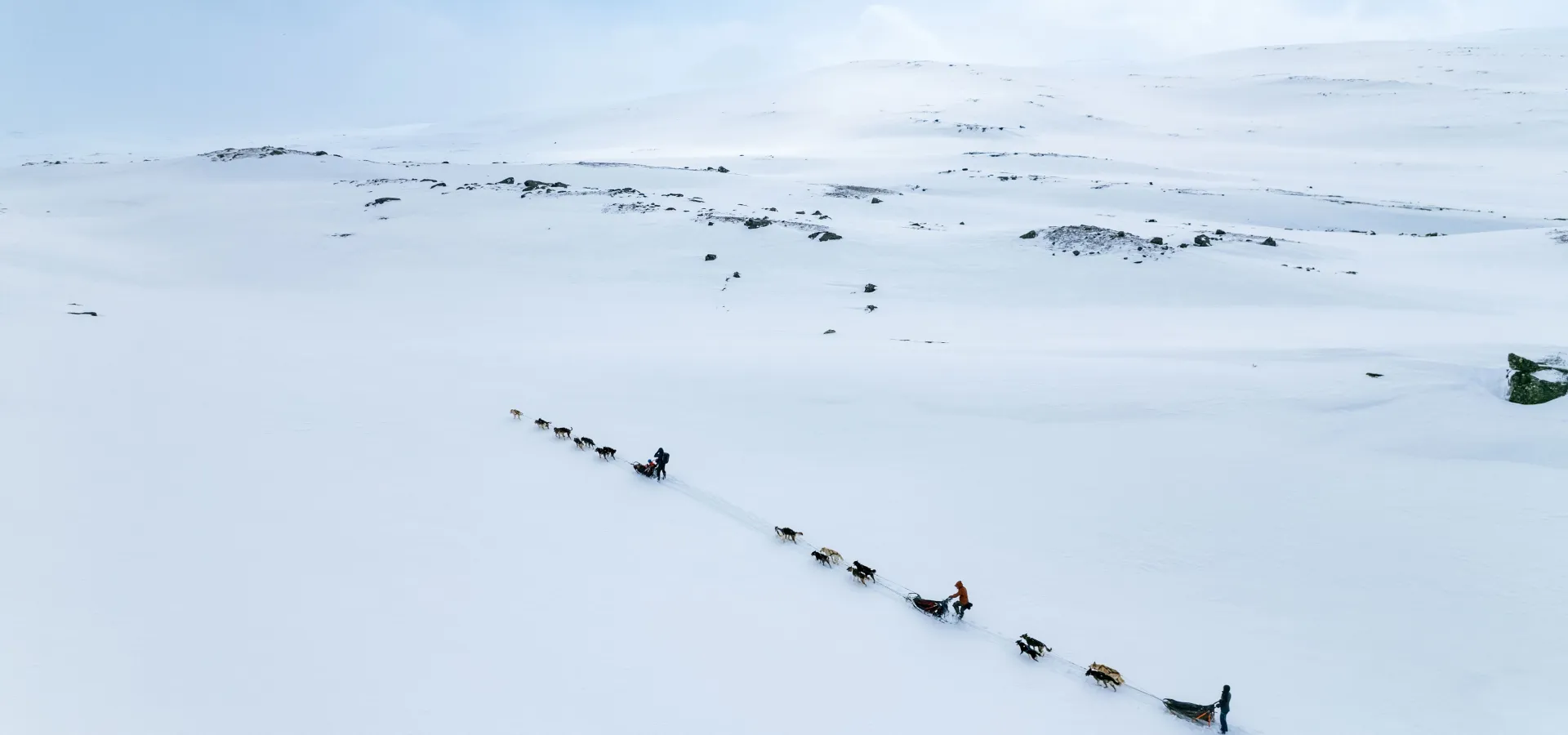 Hundesledetur i Lyngen - Dagtid - Lyngen Outdoor Experiences