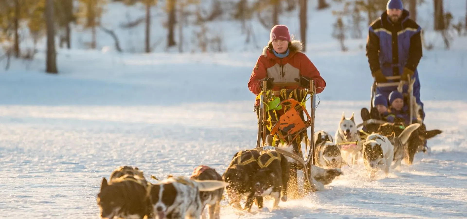 Lyngen Husky Safari