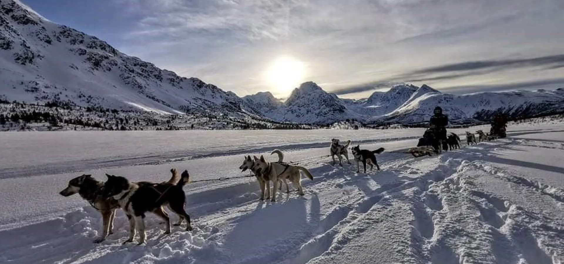 Lyngen Husky Safari