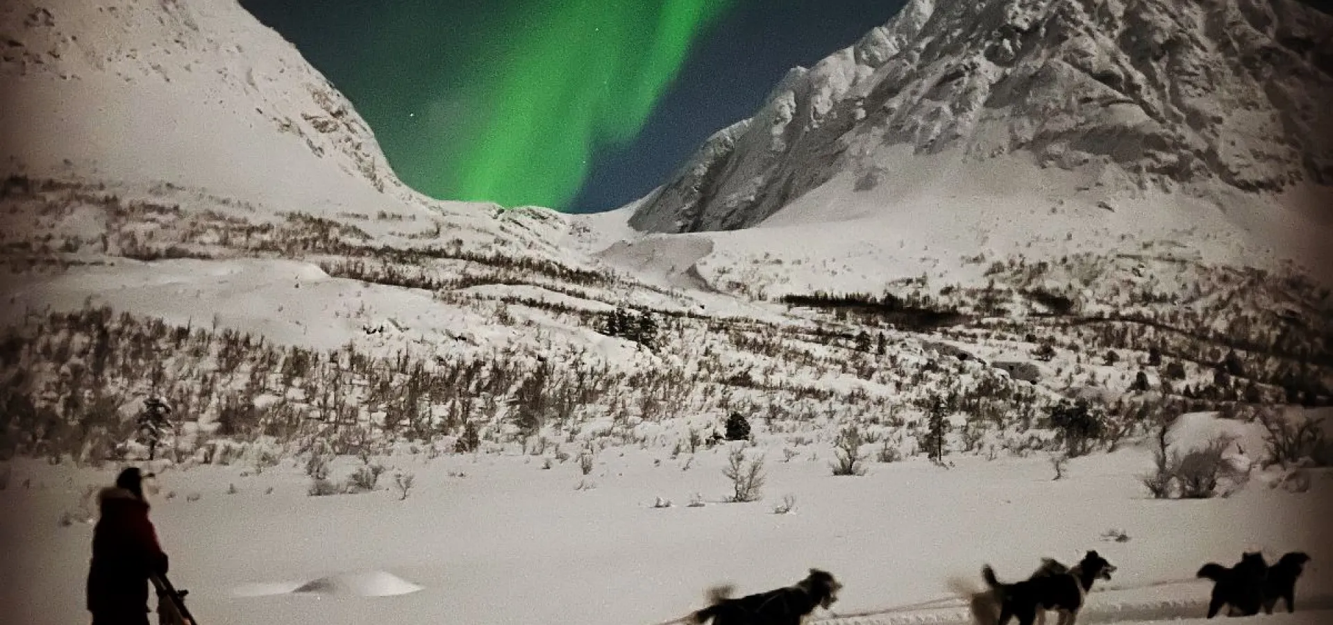 Kveldstur med hund og bålkos under Lyngsalpene - Lyngen Safari