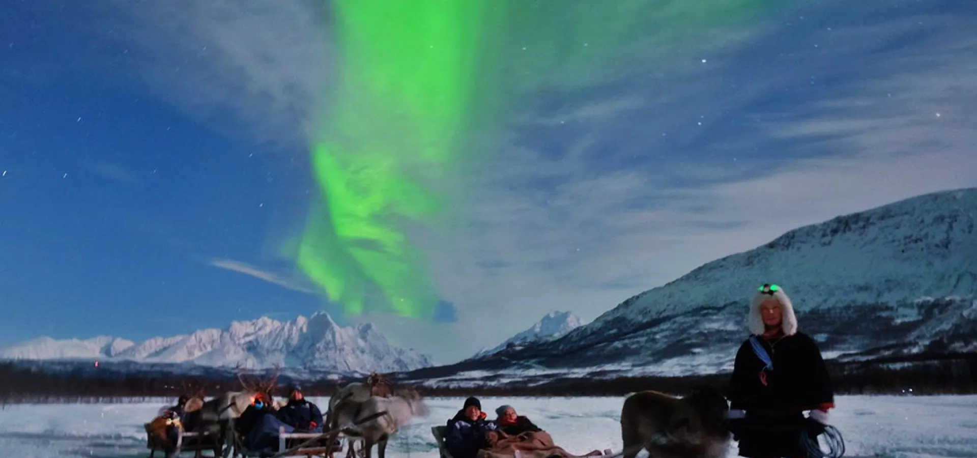 Sledetur med Reindsyr og Sjanse for Nordlys