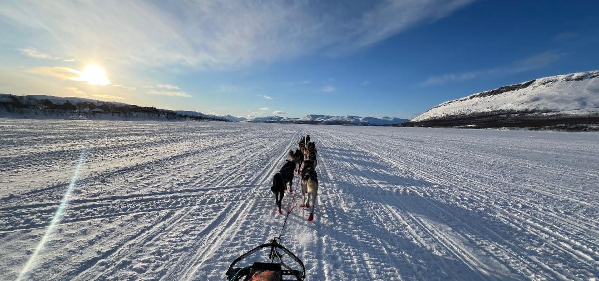  Hundekjøring i vakre Skibotndalen - pick up fra KILPISJÄRVI