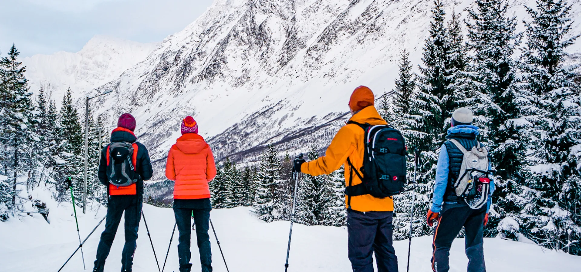 Cross country skiing in the Lyngenfjord region, just north of Tromsø