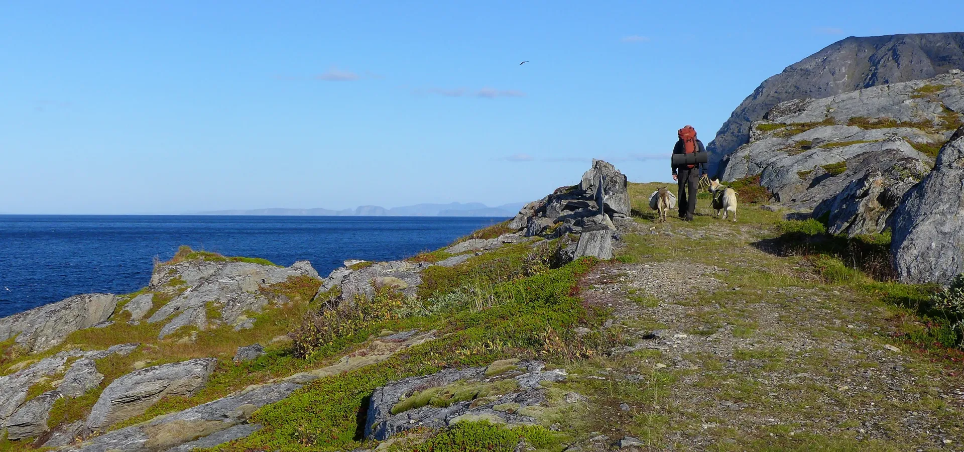 Mann på tur med hund langs veien til Rotvåghula