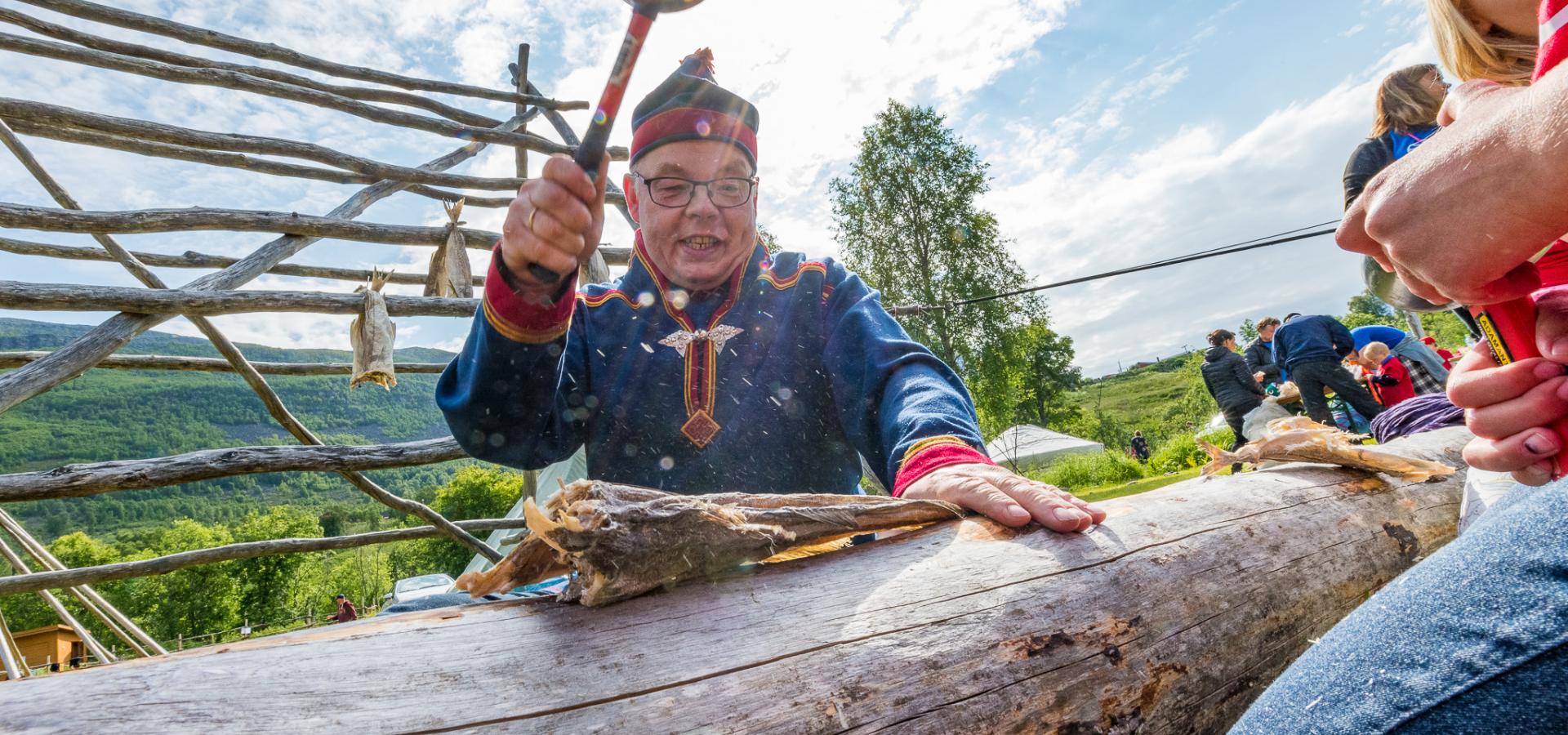 Hammering dried fish, wearing a sami suit