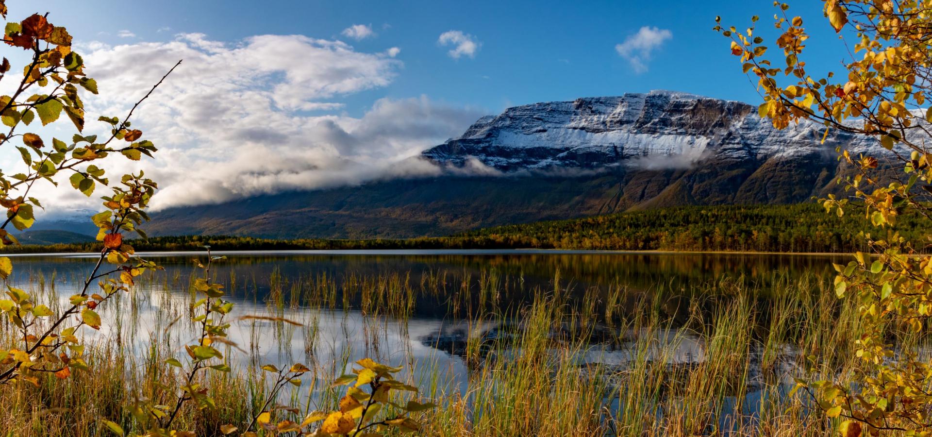 Lake with autumn leaves in the foreground and snowcapped mountains in the background