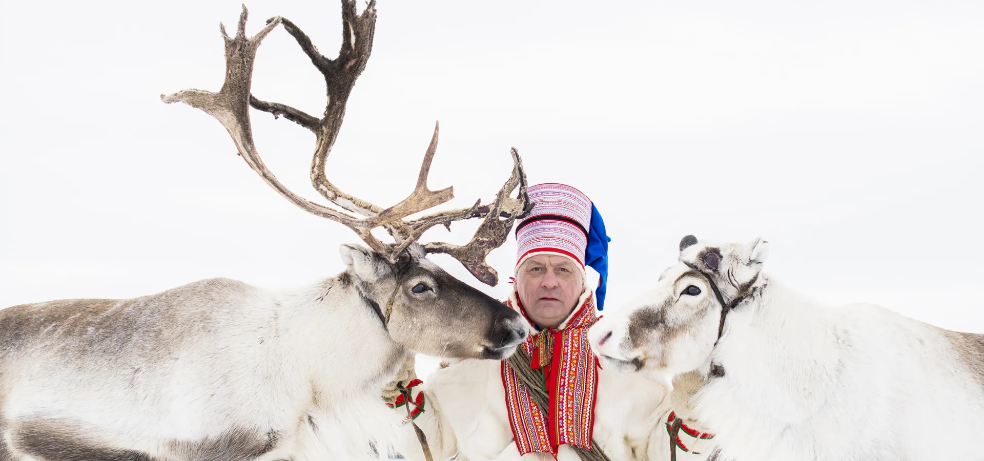 One man and two reindeers