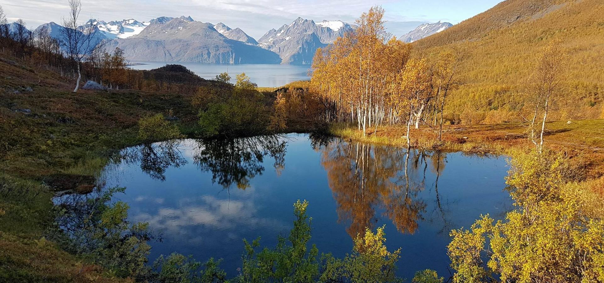 Small lake surrounded by autumn colours, the Lyngenfjord and Lyngen Alps in the background