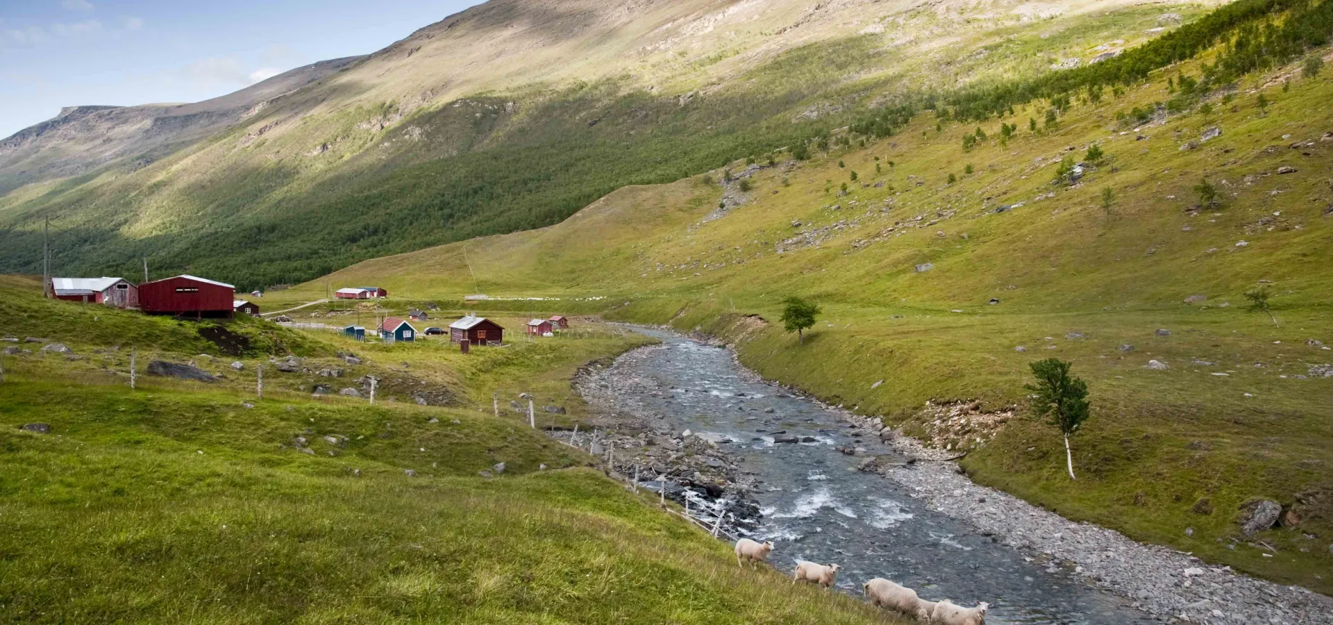 A goat shed by the river in a lush valley