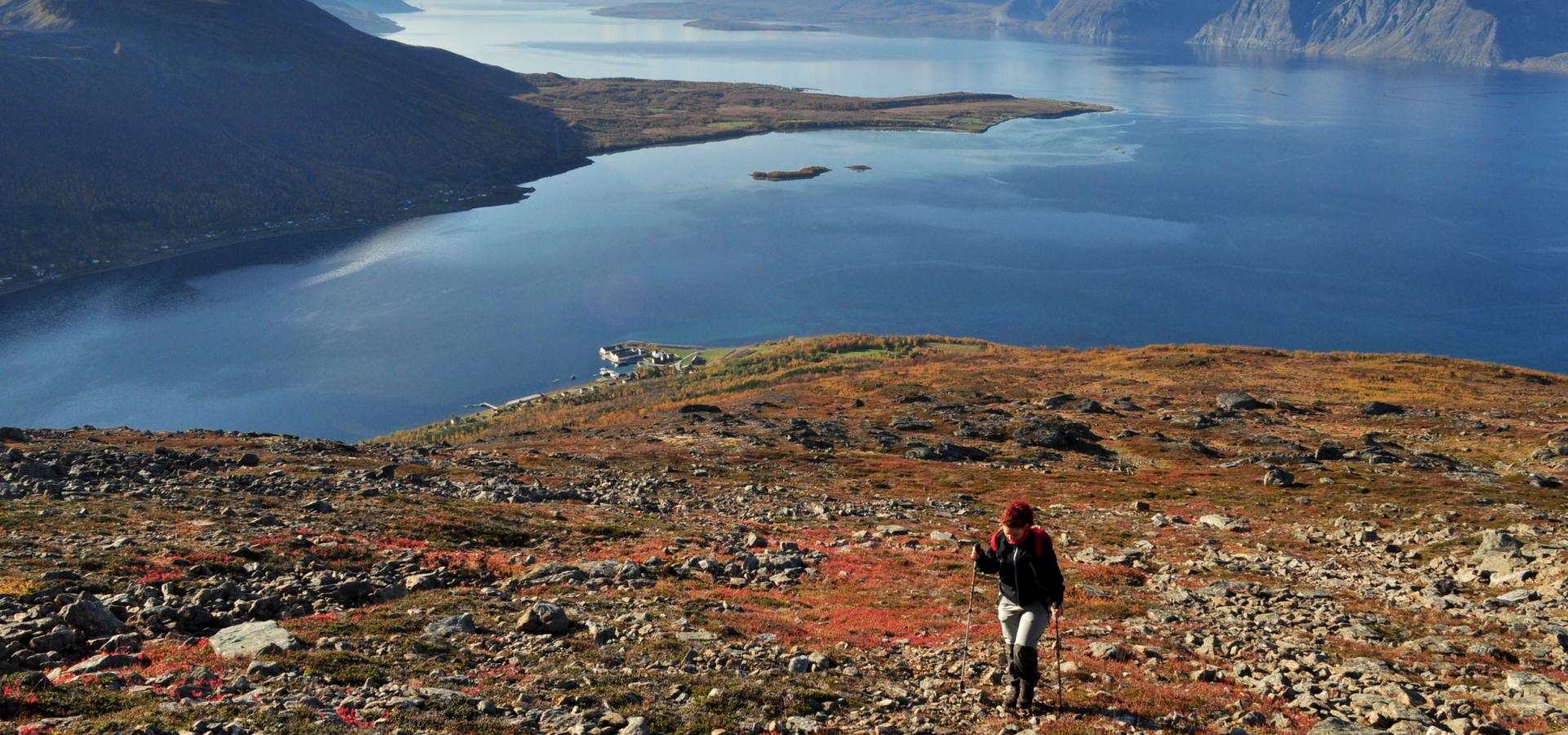Hiker on the way up Uløytinden in autumn colors, the Lyngenfjord and mountains in the background