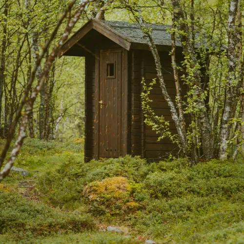 Utedo i skogen