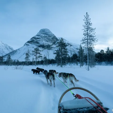 Dogsledding Riverland Husky, Reisadalen, Northern Norway