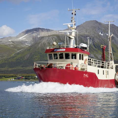 Red fishing vessel at sea