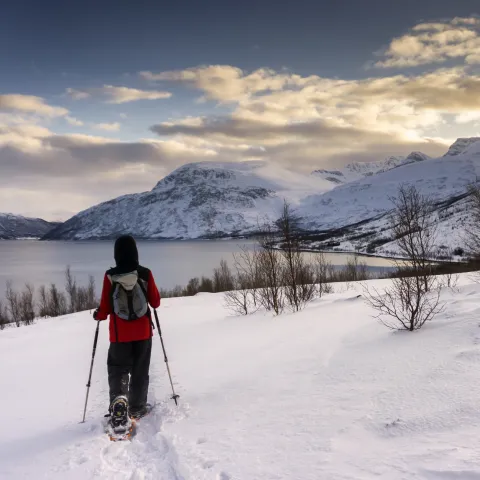 Snowshoeing Arctic Panorama Lodge, Uløya, Northern Norway