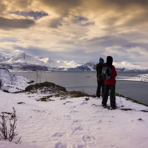 Trugetur på Uløya med utsikt mot Lyngen