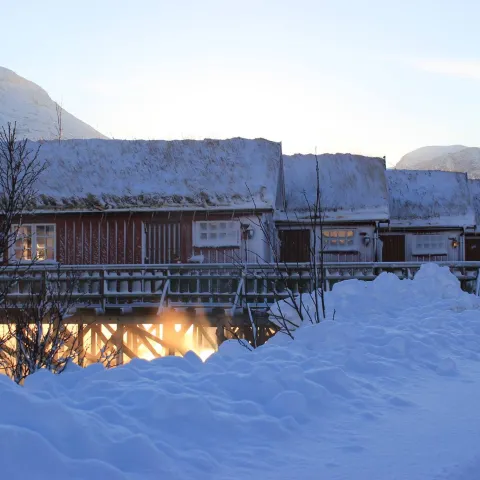 Sjøbuer dekt av frost og snø