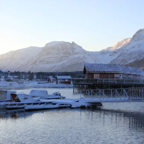 Sjøbuer og havn om vinteren