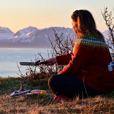 Midnight snack på stussnesfjellet på skjervøy