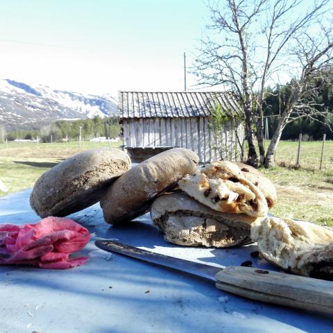 Delicious Kven baking - bread on a table