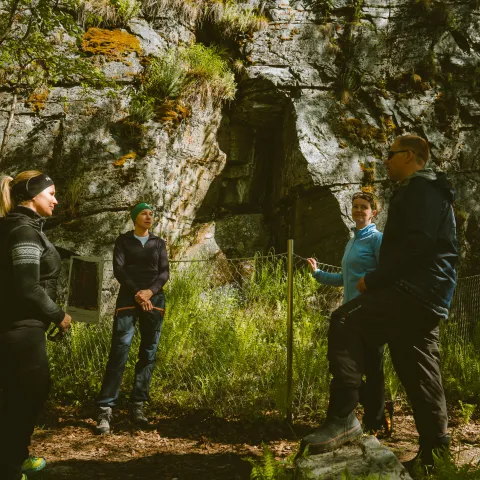 A group visiting the rock paintings, standing in the shadow of the surrounding trees