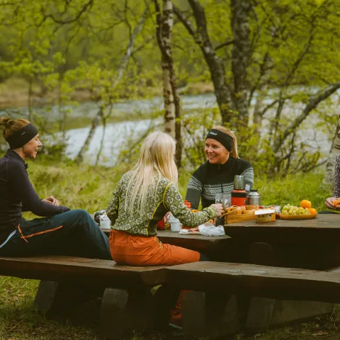 Enjoying a picninc by the wooden tables by the river