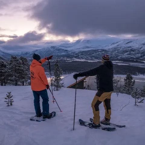 Trugetur i nærheten av Storslett