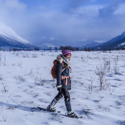 Snowshoeing in Lyngen, Northern Norway