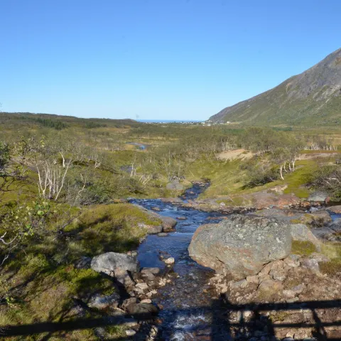 Årvikmarka, Arnøya - Skjervøy