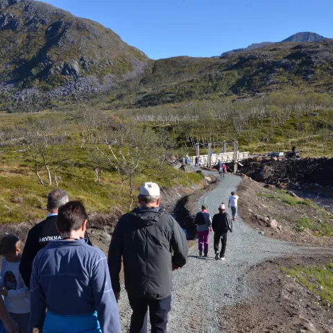 Årvikmarka, Arnøya - Skjervøy