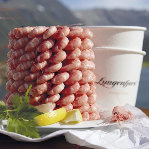 Lyngen shrimp pyramid outside in the sun