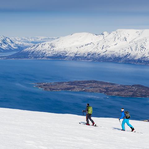 Ski touring in the Lyngen Alps with a view of the Lyngenfjord