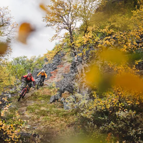 Stisykling Kåfjord, Nord Norge