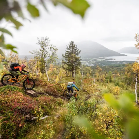 Stisykling Skibotn, Nord Norge