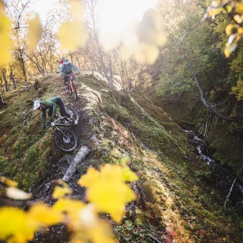 Stisykling Lyngen, Nord Norge