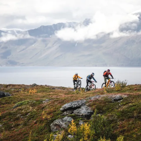 Stisykling Lyngen, Nord Norge