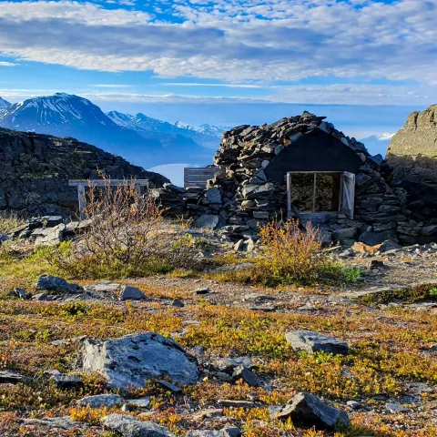 The bunker at the top of Bollmann road