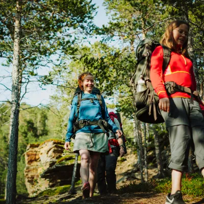 3 damer på vandring en sommersdag i furuskog