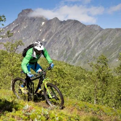 Mountainbiker on a trail on his way down