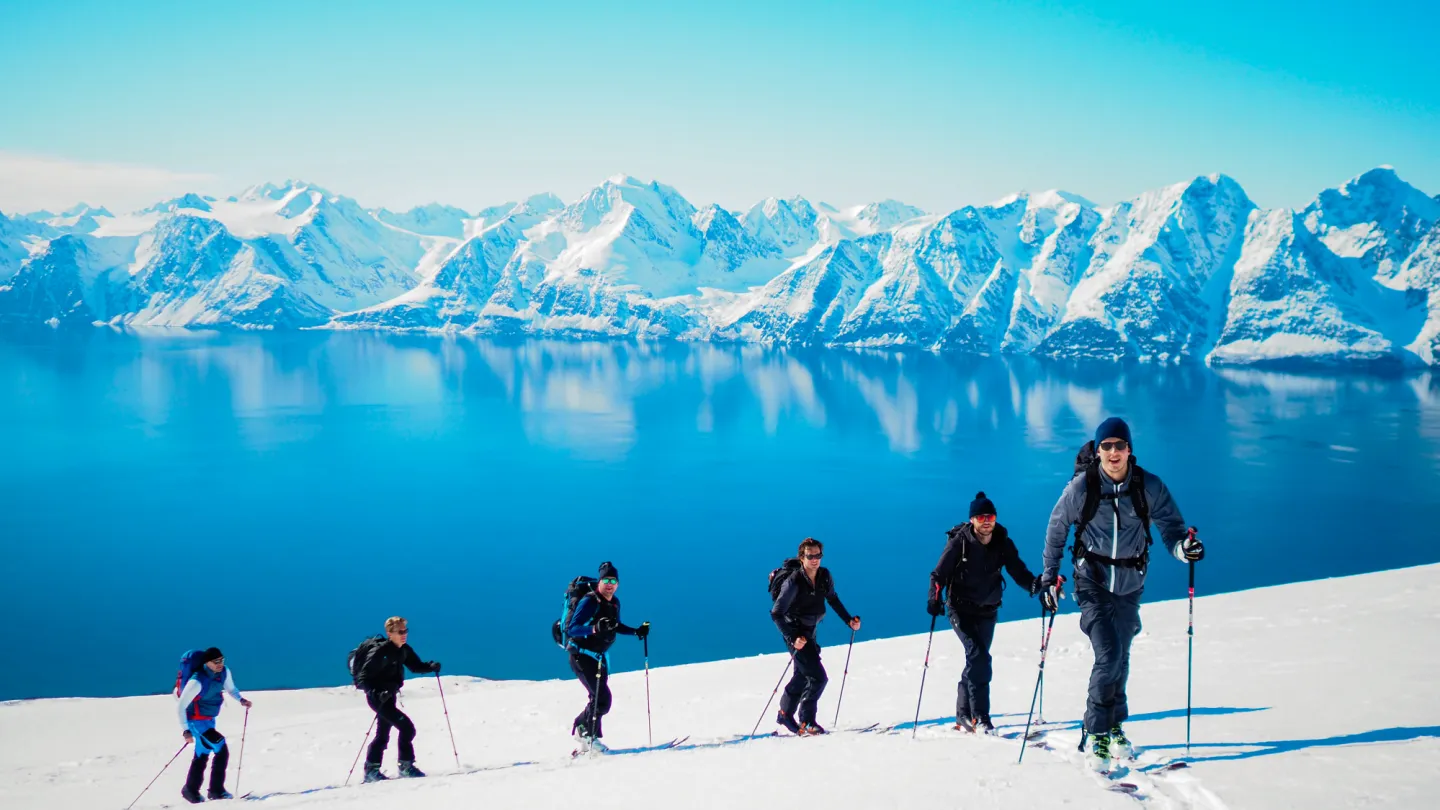 En gruppe på tur opp Storhaugen på ski, med Lyngenfjorden og Lyngsalpene i bakgrunnen